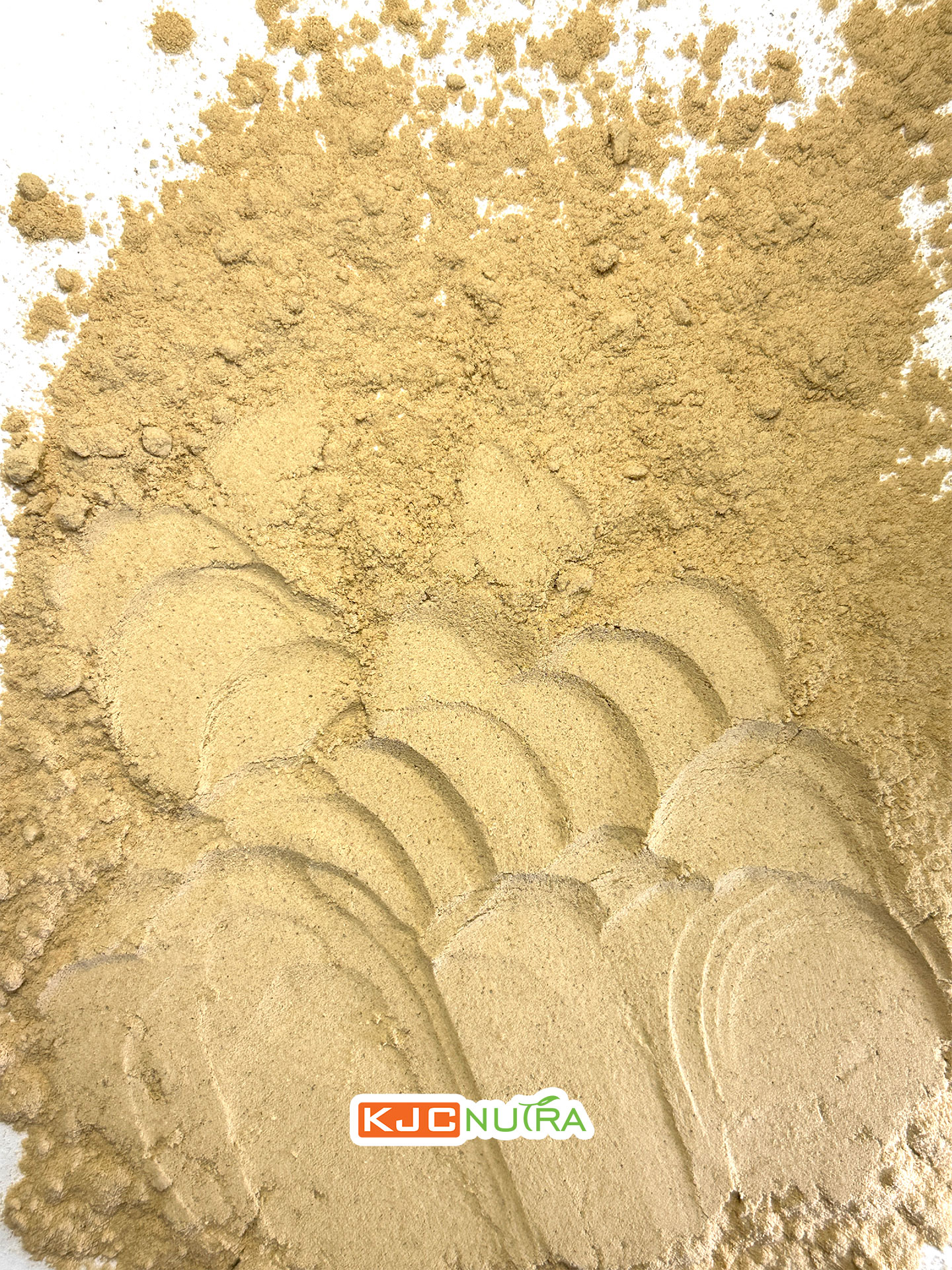 Maitake Mushroom Powder kjc